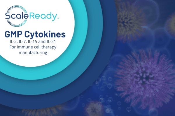 GMP Cytokines for Cell Therapy Manufacturing - ScaleReady