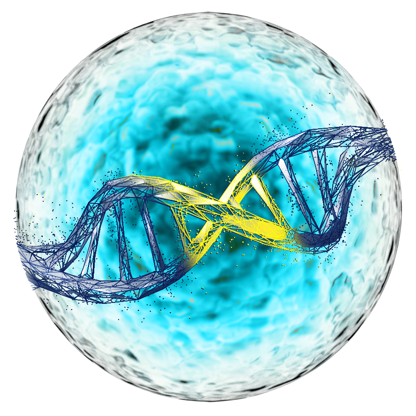 TcBuster Non-viral Gene Editing