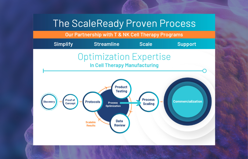 ScaleReady Proven Process Download