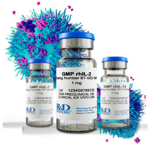 500×500 STP Cytokines IL2 cell