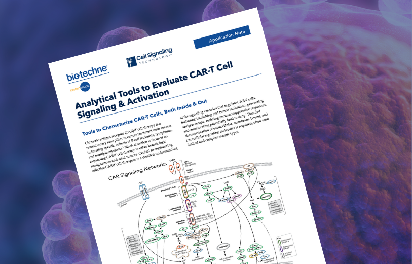 Analytical Tools to Evaluate CAR-T Cell Signaling & Activation App Note