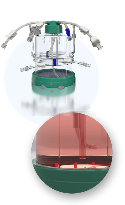 G-Rex closed-system bioreactor with detailed view of the gas-permeable membrane and culture medium for predictable, scalable cell expansion