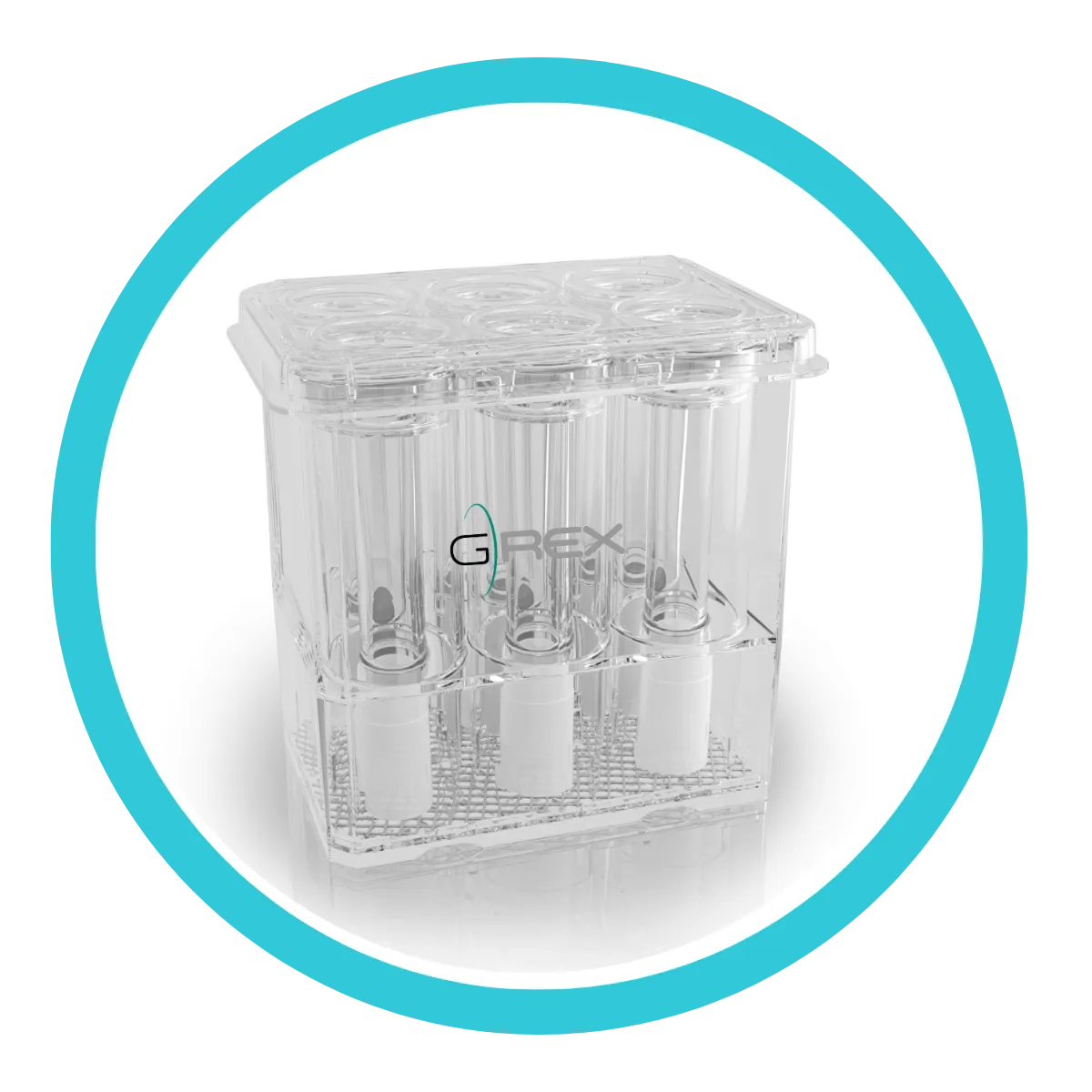 G-Rex6M-2cm² well plate, six-well bioreactor with 2cm² surface area and 20mL media volume per well