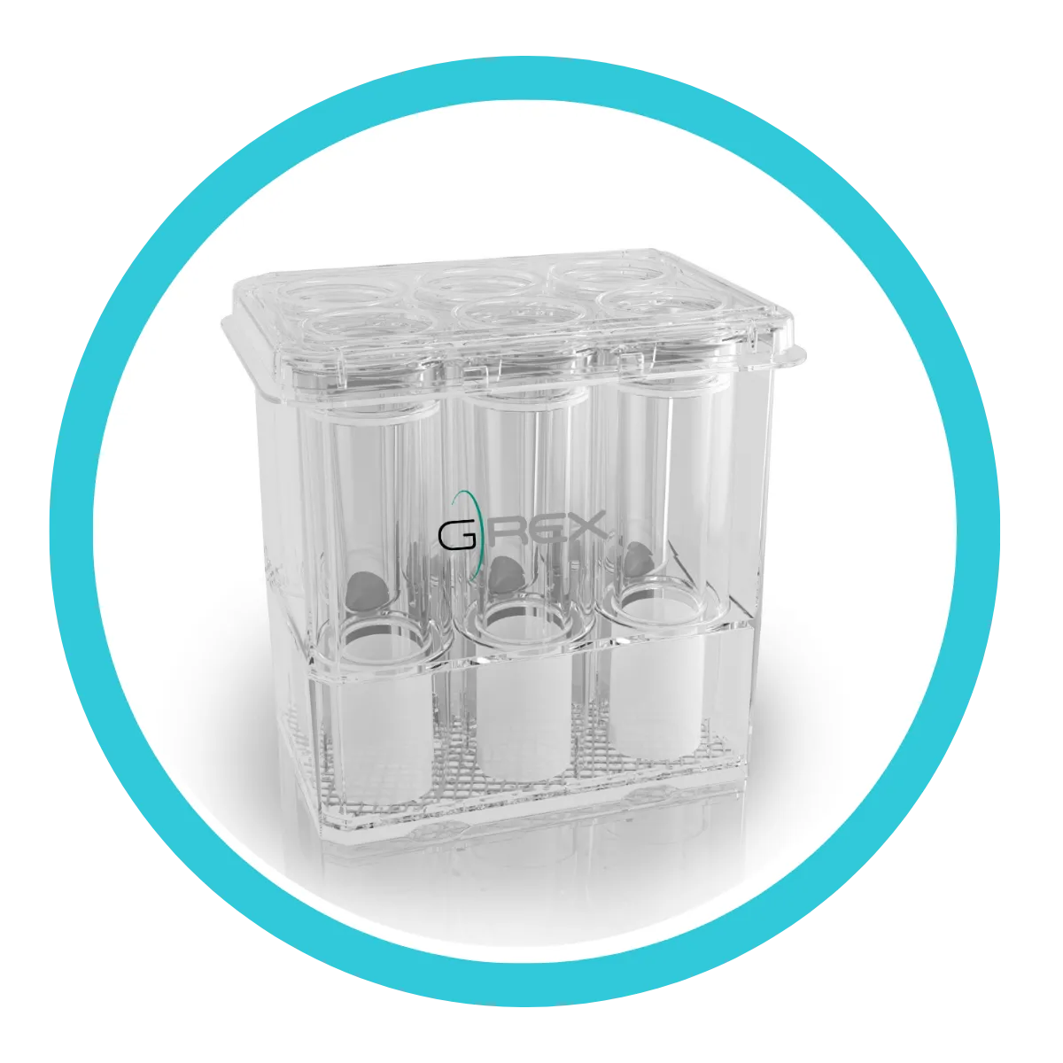G-Rex6M-5cm² well plate, six-well bioreactor with 5cm² surface area and 50mL media volume per well