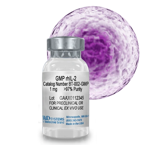GMP Recombinant Human IL-2 vial (BT-002-GMP) by Bio-Techne — animal-free formulation, 1mg, >97% purity for preclinical and clinical ex vivo cell therapy use