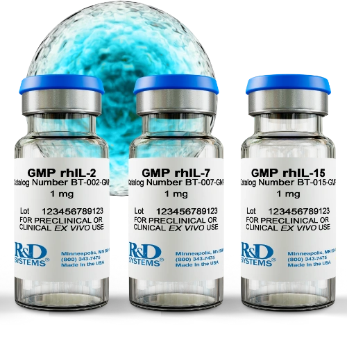 Three Bio-Techne GMP cytokine vials (rhIL-2 BT-002-GMP, rhIL-7 BT-007-GMP, rhIL-15 BT-015-GMP) with stylized T cell illustration, animal-free for preclinical and clinical ex vivo use