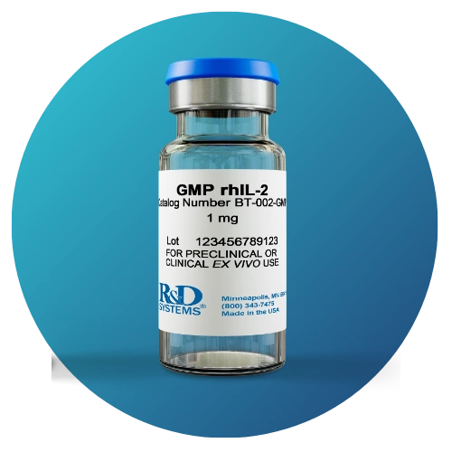 Bio-Techne GMP rhIL-2 vial, animal-free recombinant human IL-2 protein for T cell and NK cell therapy manufacturing, available in RUO and GMP grades