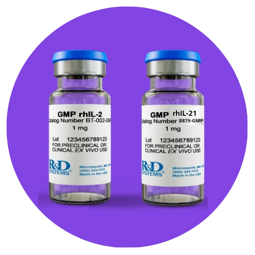 GMP cytokine vials by Bio-Techne — Recombinant Human IL-2 (BT-002-GMP) and IL-21 (8879-GMP) for cell therapy manufacturing