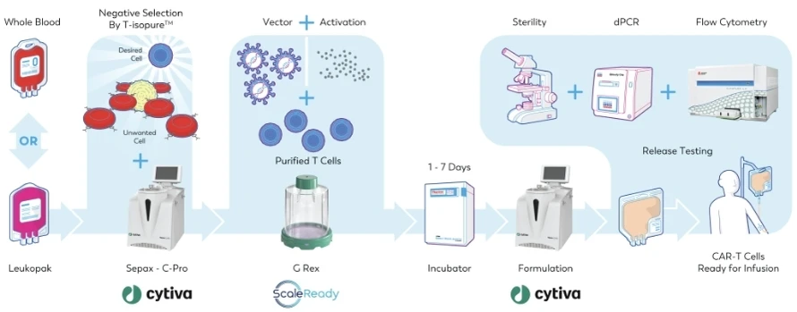 Caring Cross CAR-T cell therapy manufacturing workflow showing the integration of G-Rex bioreactor with Sepax C-Pro selection and Cytiva incubation systems for accessible cell therapy production