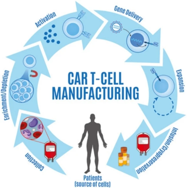 Circular CAR-T cell manufacturing workflow diagram showing the six core unit operations: collection from patients, infusion and cryopreservation, expansion, gene delivery, activation, and enrichment/depletion
