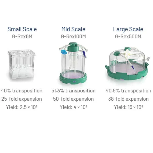 G-Rex bioreactors
