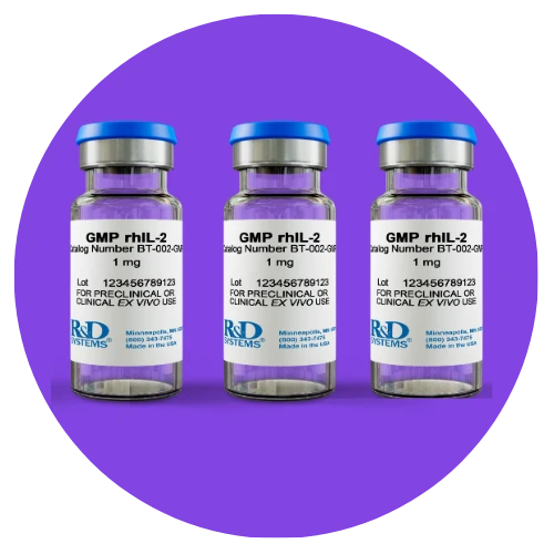 GMP Recombinant Human IL-2 vials (BT-002-GMP) by Bio-Techne — available in 50µg, 1mg, or custom mass per vial in liquid or lyophilized formulation