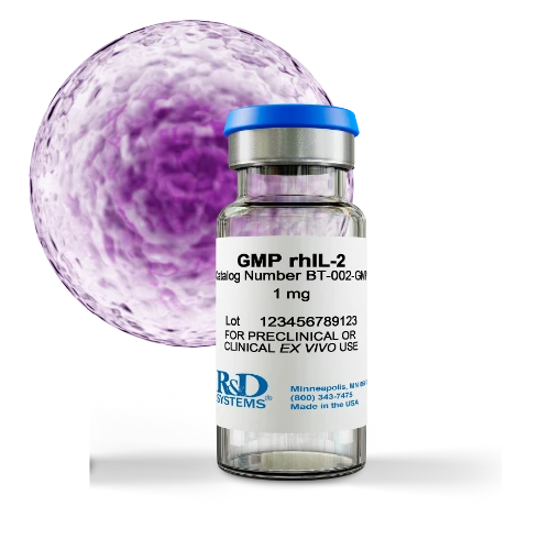 GMP Recombinant Human IL-2 vial (BT-002-GMP) by Bio-Techne — animal-free formulation containing the cysteine-to-serine mutation found in Proleukin