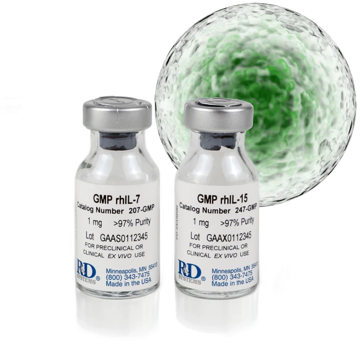 GMP Recombinant Human IL-7 and IL-15 vials by Bio-Techne (R&D Systems) — animal-free, >97% purity, for preclinical and clinical ex vivo cell therapy use