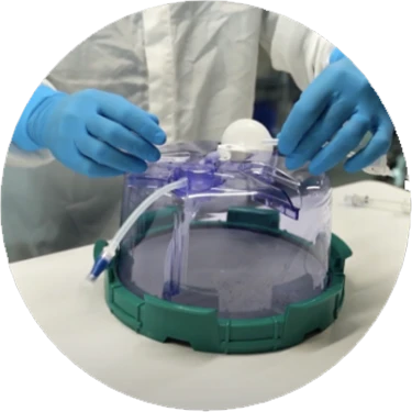 Screen-Shot-2021-06-16-at-1.06.02-PM-1