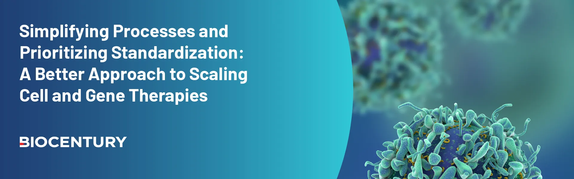 Simplifying Processes and Prioritizing Standardization