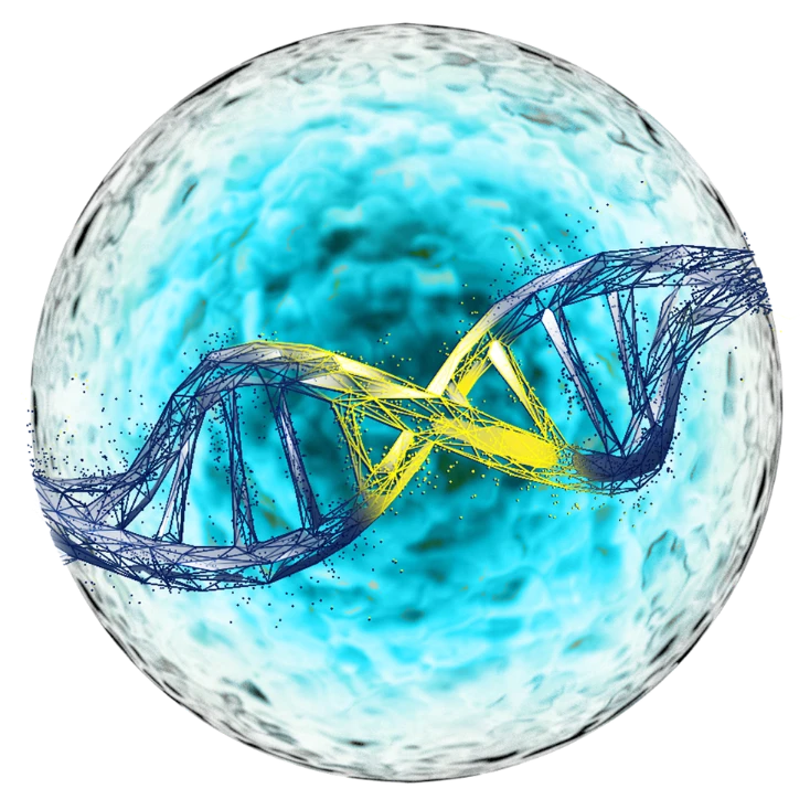 The TcBusterTM non-viral gene delivery platform makes gene modification