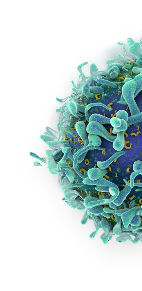 figure-cell-3-2-1