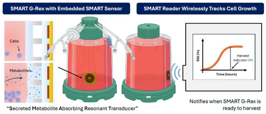 Diagram of SMART G-Rex with embedded SMART sensor and wireless reader tracking cell growth to indicate harvest readiness