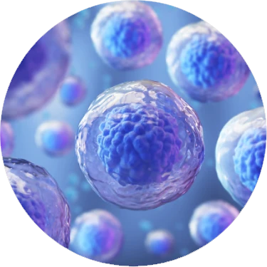 gettyimages-1154785553-170667a-1