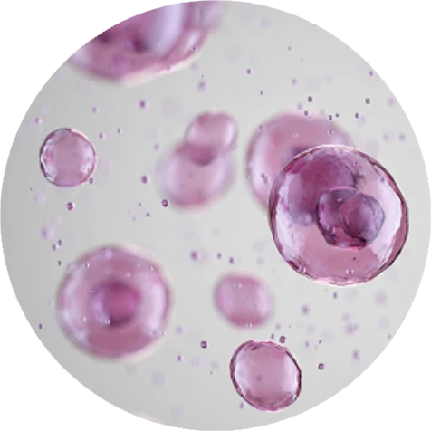 gettyimages-1303169161-170667a