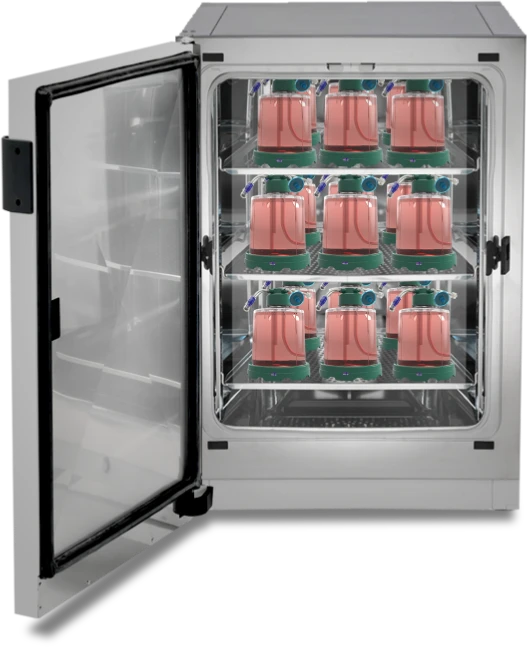 Nine G-Rex bioreactors operating in parallel inside a single laboratory incubator, demonstrating high-throughput cell therapy manufacturing in a small footprint