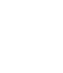 Motion Icon