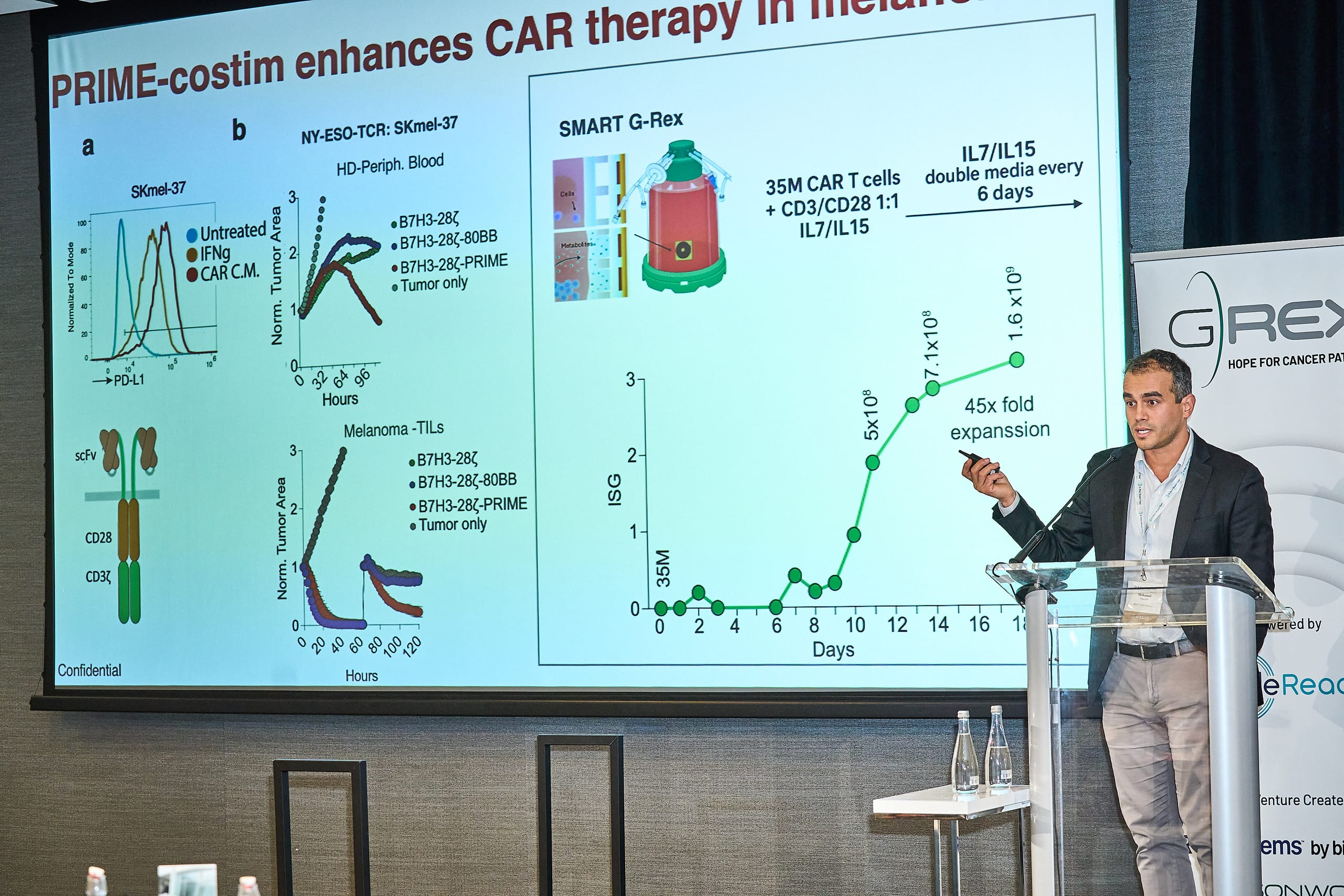 Dr. Mohamad Hamieh  •  Weill Cornell Medicine